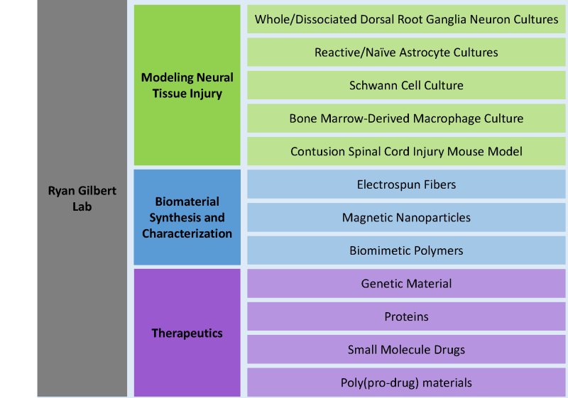 Therapeutic Biomaterials for Neural Regeneration