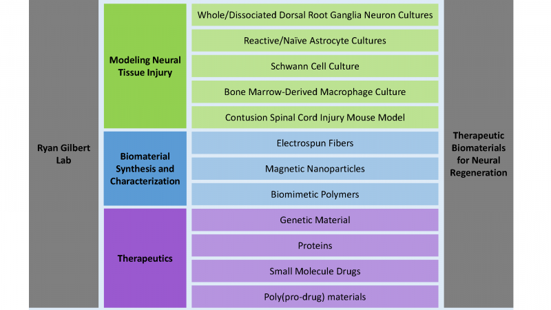 Therapeutic Biomaterials for Neural Regeneration